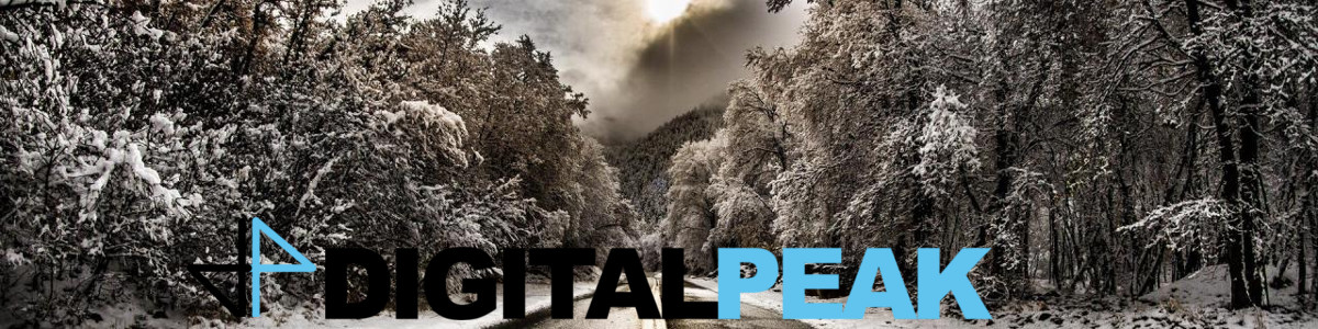 digital peak 2016